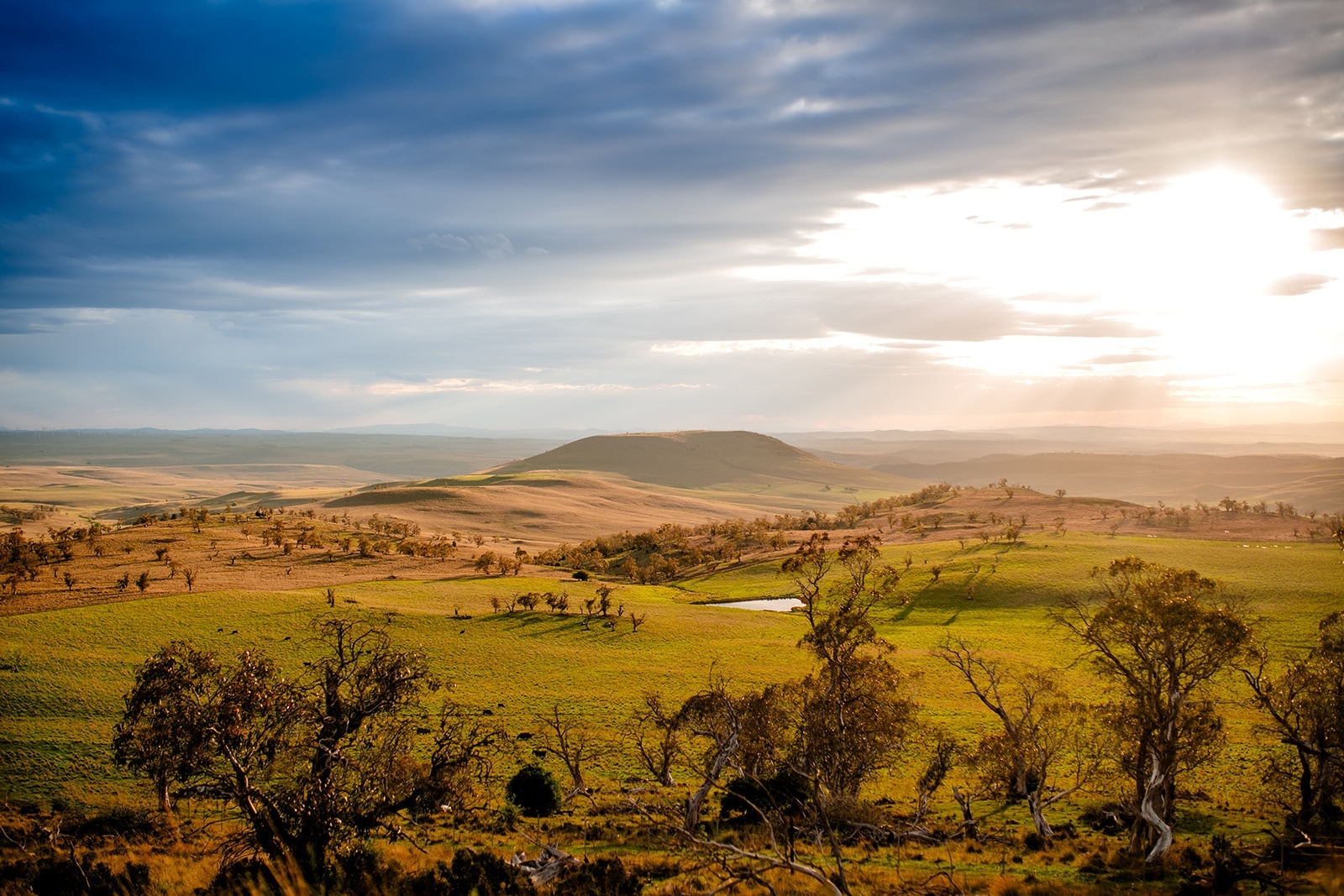 Environmental impact assessment begins on proposed Coonerang Wind Farm in NSW