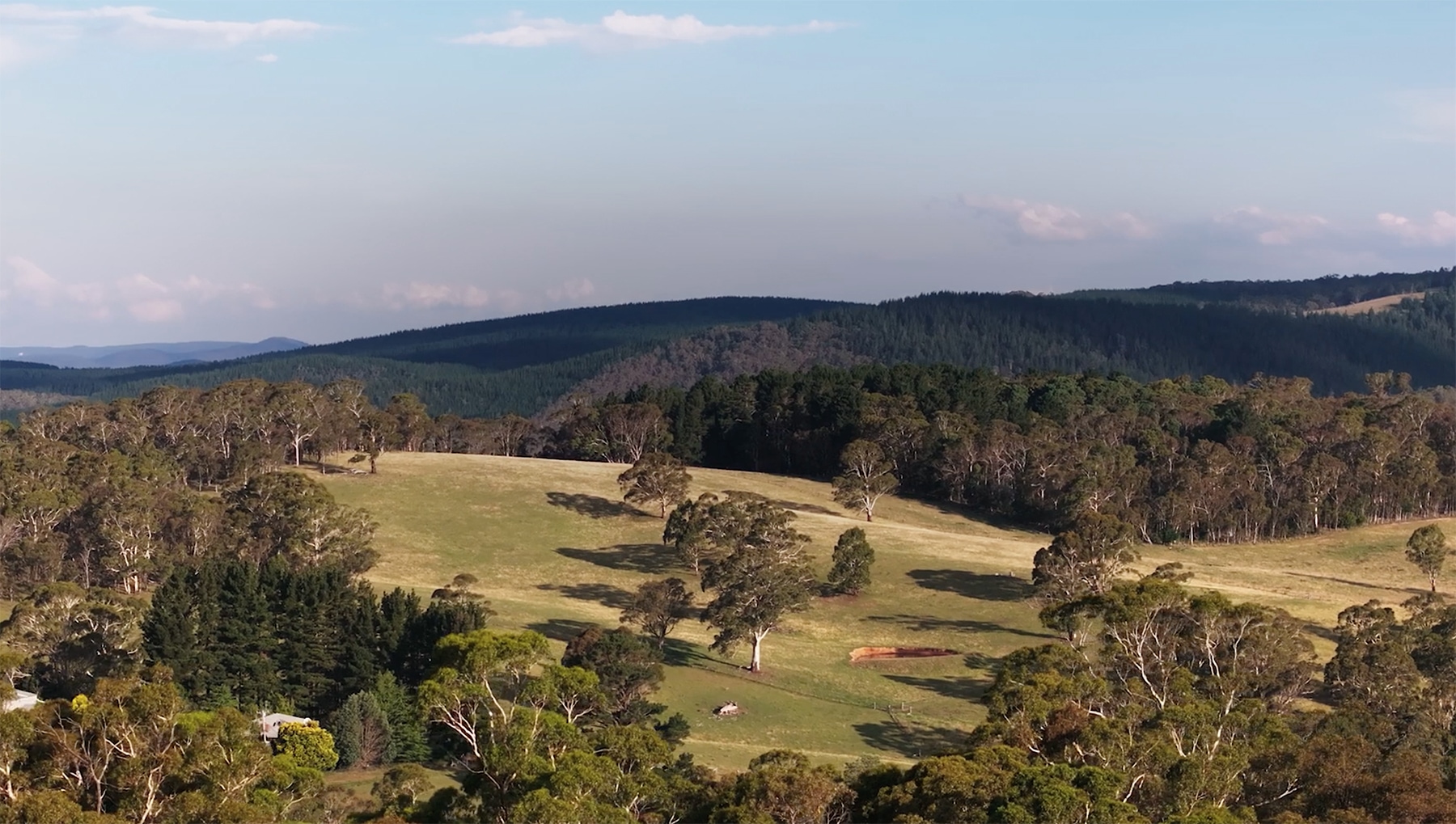 Sunny Corner Wind Farm announces extension to Near Neighbour Program