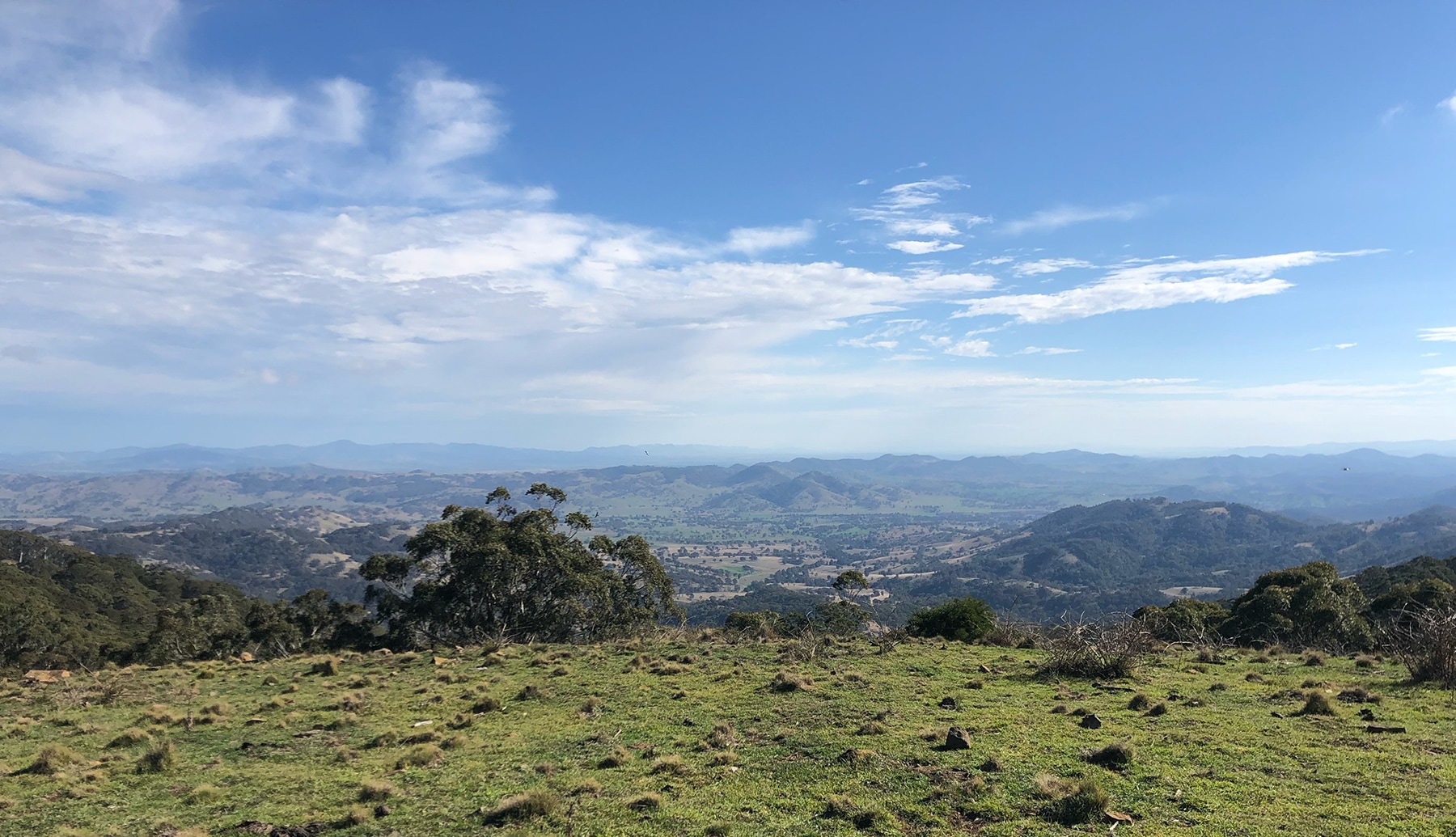 Someva Renewables proud to acquire Hills of Gold Wind Farm